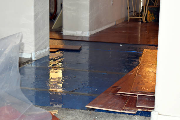 Professional Burst Pipe Cleanup technician working in Henderson, LA